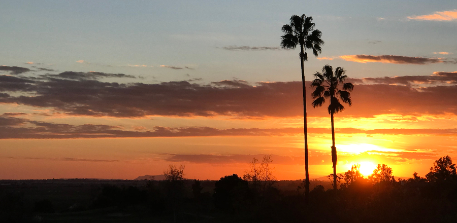 view of golf course at sunset 